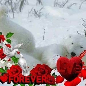 Meet your Posher, Valles